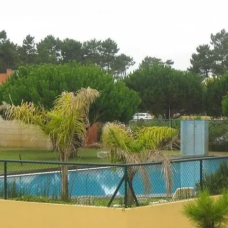 Furadouro Pine * 오바